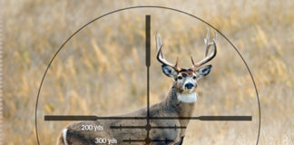 Top Tips to Choose the Perfect Hunting Scope