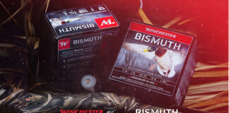 Winchester-Bismuth