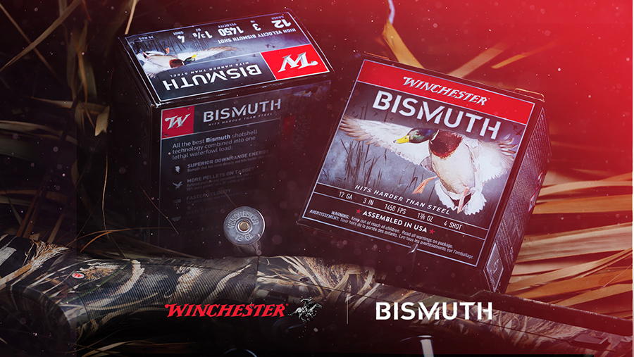 Winchester-Bismuth
