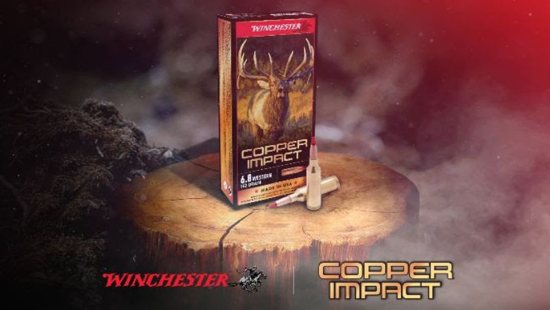 Winchester-Copper-Impact