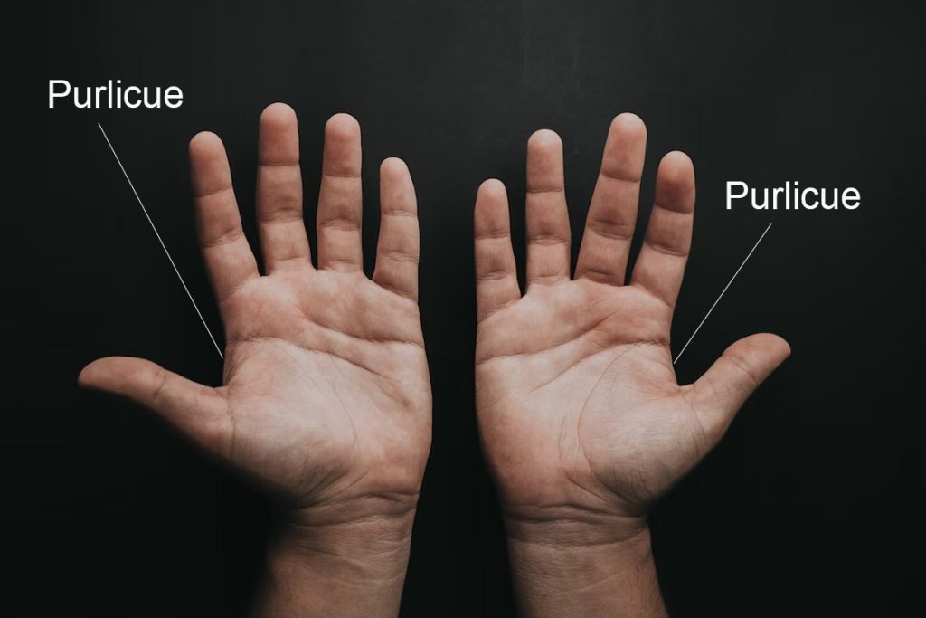 Purlicues of the hand